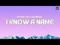 Brandon Lake, CeCe Winans - I Know A Name (Lyric Video) #iknowaname #brandonlake #cecewinans