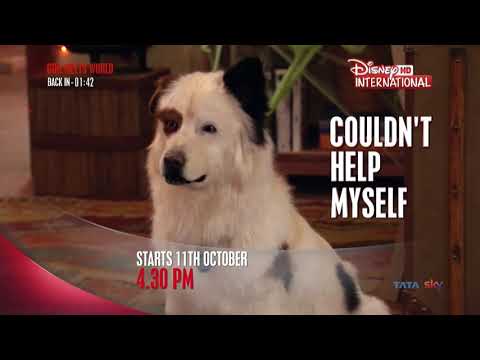Dog with a Blog Season 03 PROMO | Disney International HD