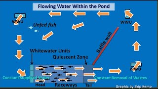 Download lagu Understanding the Sustainable IPRS: In-Pond Raceway System (DIY How to Modernize Your Fish Farm) mp3