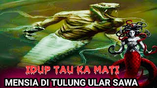 Download lagu Semengat Bunsu Ular Sawa Tusun5 mp3