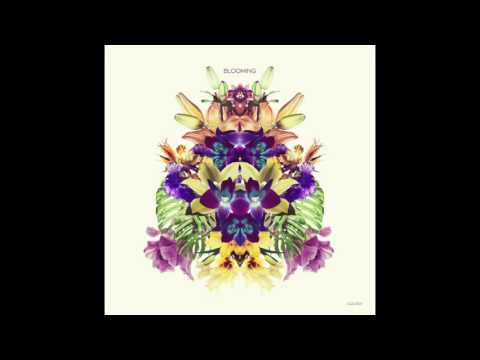 Konvex & the Shadow, Melokolektiv - Blooming feat Craig Walker (Club Edit)