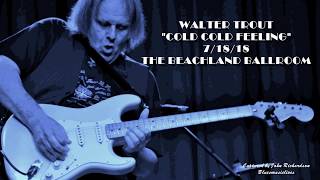 WALTER TROUT "COLD COLD FEELING"  7/18 /18 CLEVELAND LIVE HD