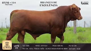 LOTE 23  3385