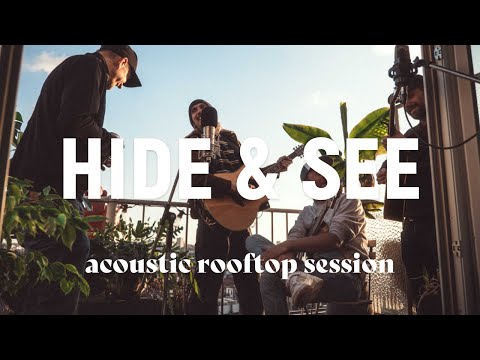 Hide And Seek - WeatherVanes