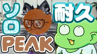 【耐久】ソロPEAK アセント1をクリアするまで。【応援をください】