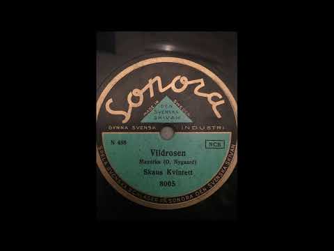 Vildrosen  (O. Nygaard)