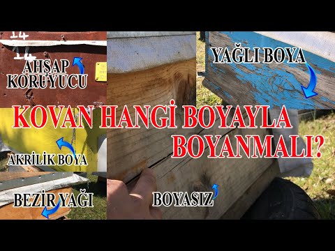 Kovan Hangi Boya İle Boyanmalı? What paint should the beehive be painted with?