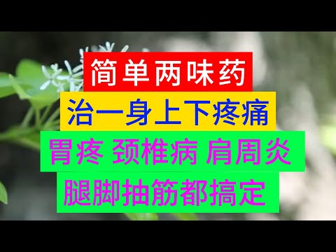 简单两味药，治一身上下疼痛，胃疼 颈椎病 肩周炎 腿脚抽筋都搞定