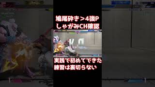 【スト6】鳩尾砕きしゃがみCH確認から4強P！実践で初めてできました【リュウ】