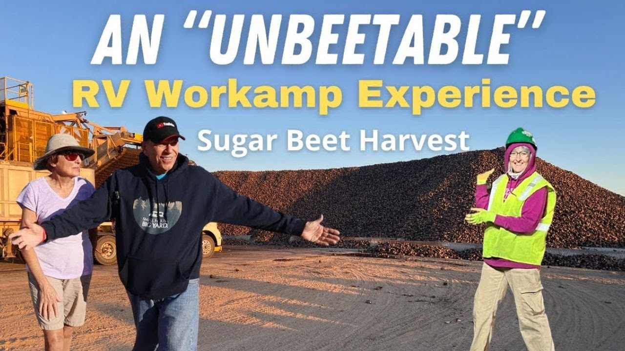 An “UNBEETABLE” Workamping Experience – The Sugar Beet Harvest