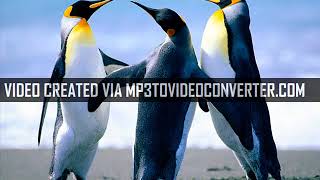 Download lagu freeway live it up original version mp3 Download lagu freeway live it up original version mp3