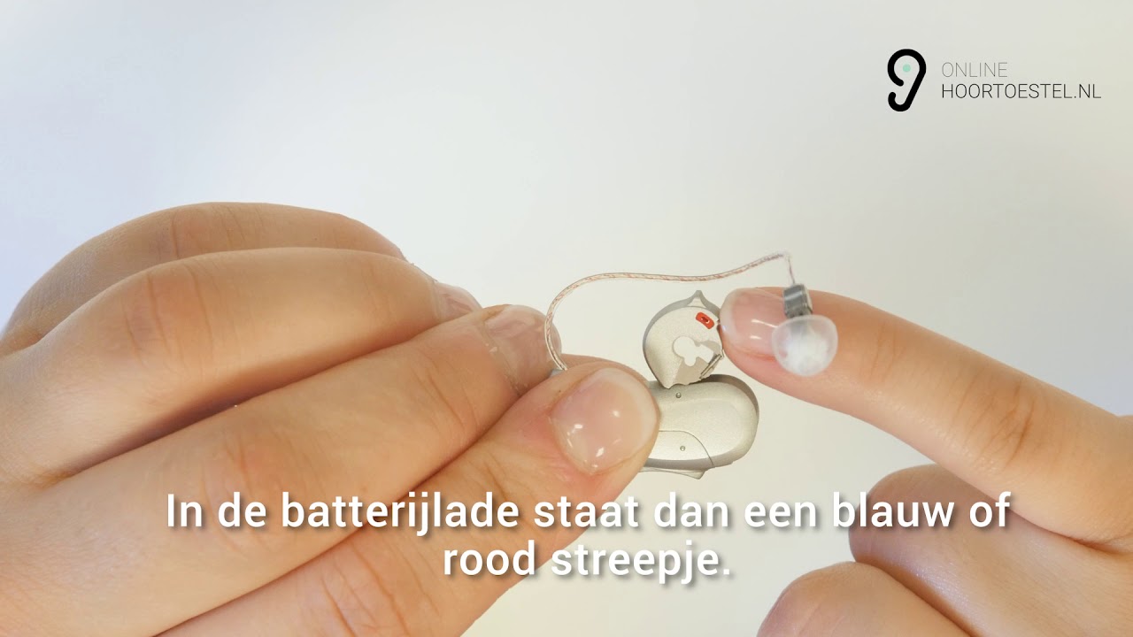 Check hearing aid from Signia or AudioService serial number and marking