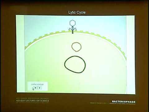 Talking Science: “Phage: Invasion of the Bacteria Snatchers” featuring Vincent A. Fischetti