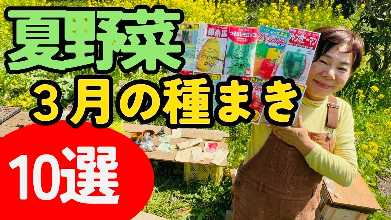 夏野菜１０種の種まきをしていきます！３月中にまいておくことができます。