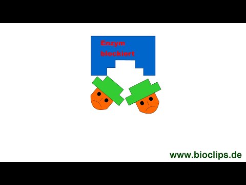 Enzymhemmung durch Substratüberschuß