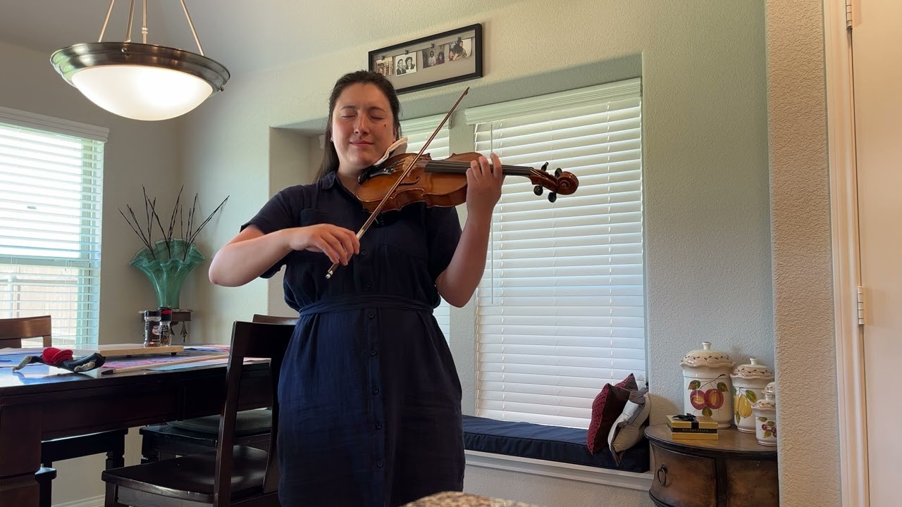 Bench made Ivan Bonev Sycamore back violin