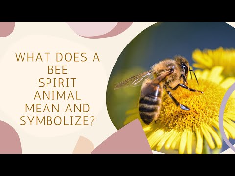 What Does a Bee Spirit Animal Mean and Symbolize?