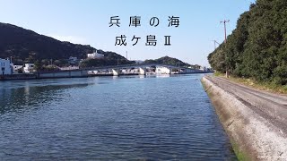 成ヶ島渡船