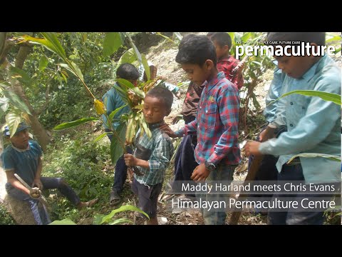 download lagu mp3 mp4 Chris Evans Permaculture, download lagu Chris Evans Permaculture gratis, unduh video klip Chris Evans Permaculture