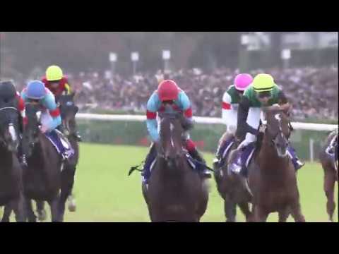 2019 Mile Championship (G1)