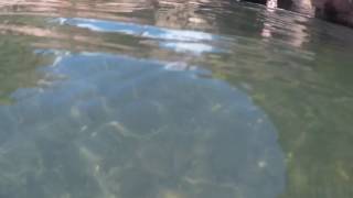 The Crack secret swimming hole in Sedona, AZ