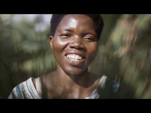 download lagu mp3 mp4 Indego Africa Baskets, download lagu Indego Africa Baskets gratis, unduh video klip Indego Africa Baskets