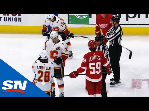 Play Stops Between Flames, Red Wings After Puck Hits Young Girl