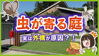 虫が寄る庭の共通点と対策！プロが教える“虫が出にくい外構”の作り方