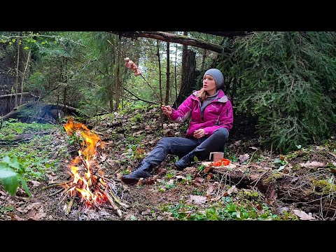 Building a Shelter in the Wild Forest for First Time! Cooking over Open Fire Camping. ASMR