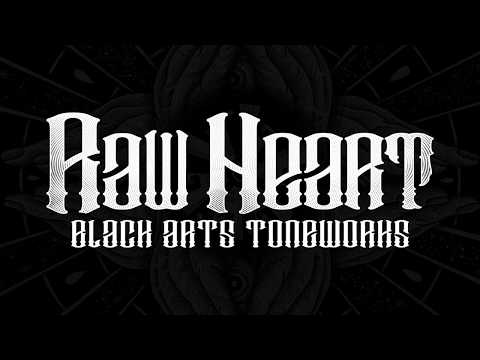 Black Arts Toneworks Raw Heart Overdrive - Joe Carpenter "In the Mix" Demo