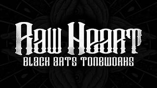 Video thumbnail for Black Arts Toneworks Raw Heart Overdrive - Joe Carpenter "In the Mix" Demo by BlackArtsToneworks