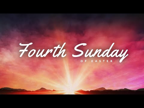 4th Easter Sunday 2024 | Homily | Fr Olvin Veigas, SJ | Jesus, the Good Shepherd: Guiding Protecting