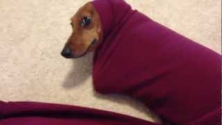 Stuck in a sweatshirt