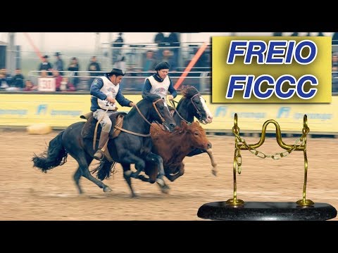 Cobertura COMPLETA do FREIO DE OURO/ FICCC 2018