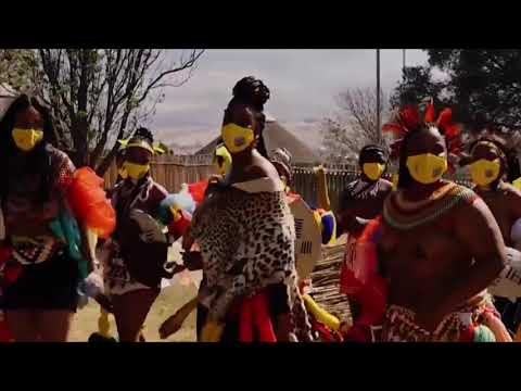 Awesome Zulu Dancing Professional Zulu Dance