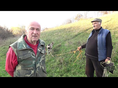 Džaba starost,ženska ljubomora.Ipak žene volimo više nego u mladosti