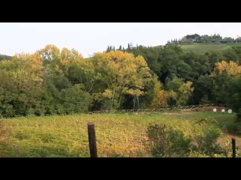 Agiturismo Il Molinaccio Tiro con Arco -