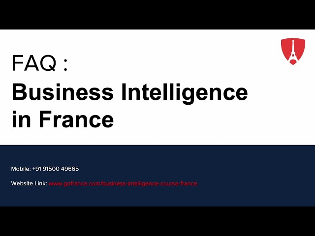 FAQ : Business Intelligence in France