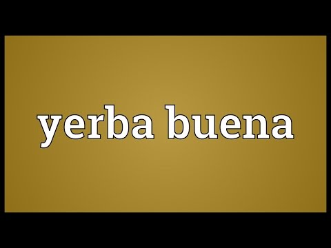 Yerba buena Meaning