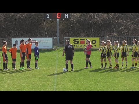 OP SZ Opatovice - SK DFO Pardubice 1:2 (1:1)