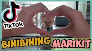 Binibining Marikit Challenge - Dog Version (Pati aso napasayaw)