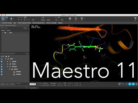 Maestro 11