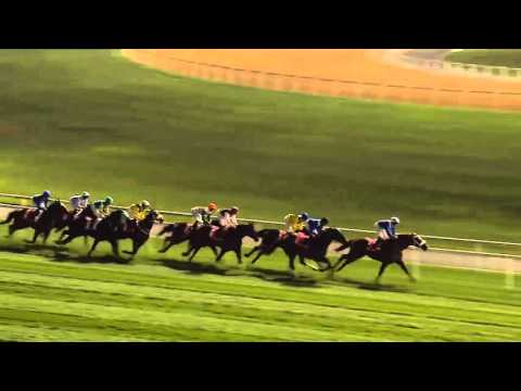 Tryster by Shamardal wins the G1 Jebel Hatta at Meydan