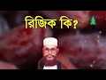 Rijik Waz Allama Saydee