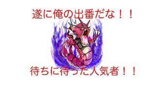 【はねろコイキング】ついにあの赤い竜に！！