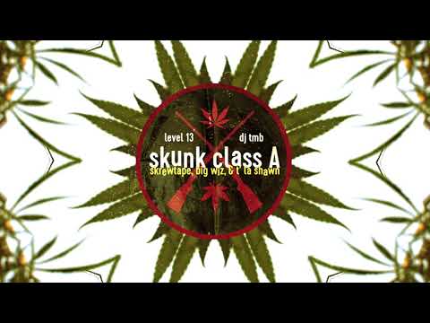 LEVEL 13 x DJ TMB - Skunk Class (A) feat. T' La Shawn, Big Wiz & Skrewtape (Official Music Video)