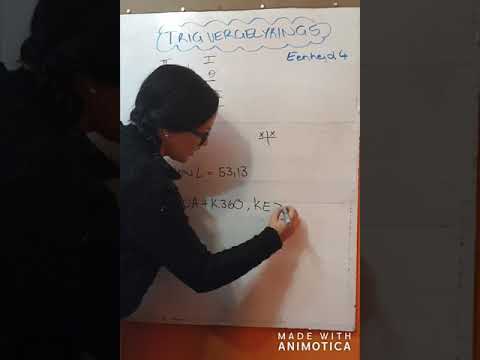 WISKUNDE GRAAD 11: 21 Mei 2020 - periode 3 (21113)