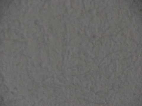 Bajo Belgrano eventos, Daniel Frois