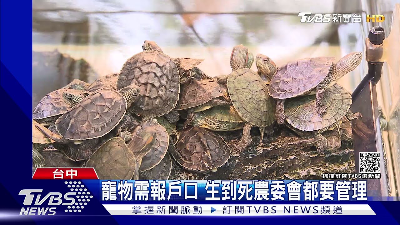 寵物需報戶口 生到死農委會都要管理