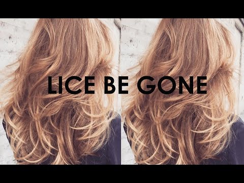 Lice Removal with Conditioner & Comb #2 Shorter Version